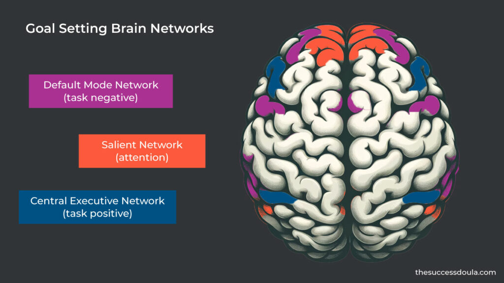 Goal Setting Brain Networks Dmn Cen Sn Brain Illustration The Success Doula
